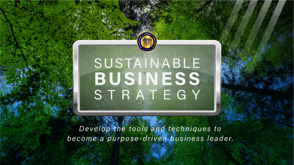 Sustainable Business Strategy | Course